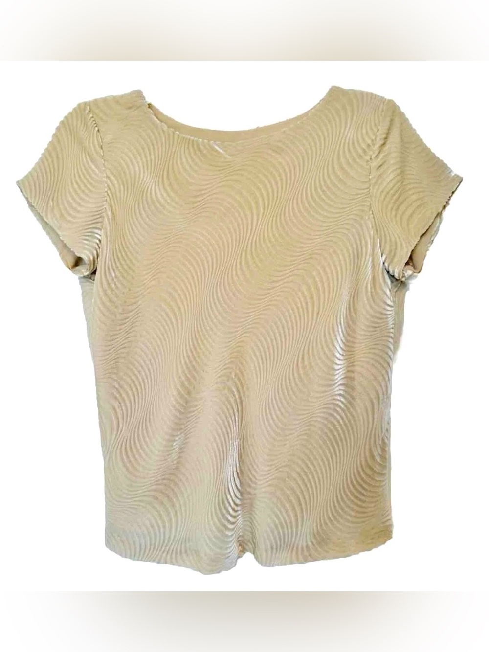 Talbots Petites Womens PS Tan Wavy Velour Silk Blend Lined Short Sleeve Top